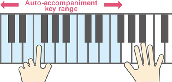 nhac dem tu dong dan organ cts series