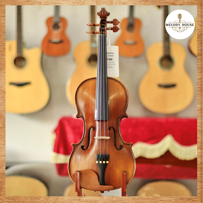 đàn violin hãng nào tốt
