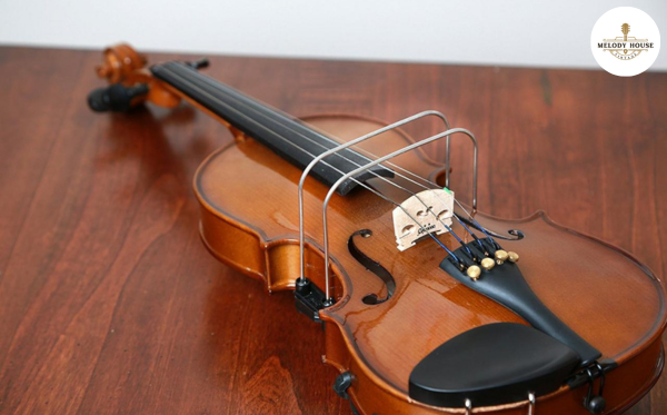 10 Câu Hỏi Giải Đáp Việc Nên Mua Đàn Violin Loại Nào Tốt Nhất 7 chất liệu đàn có ảnh hưởng đến việc nên mua đàn violin loại nào không