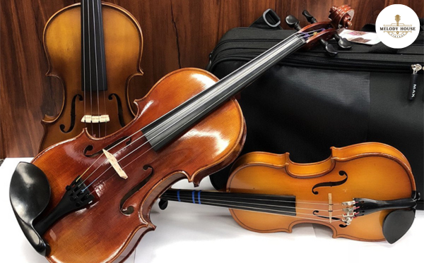 10 Câu Hỏi Giải Đáp Việc Nên Mua Đàn Violin Loại Nào Tốt Nhất 8 mua đàn violin online có an toàn không