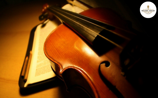 10 Câu Hỏi Giải Đáp Việc Nên Mua Đàn Violin Loại Nào Tốt Nhất 9 nên mua đàn violin loại nào để thu âm hoặc chơi nhạc hiện đại