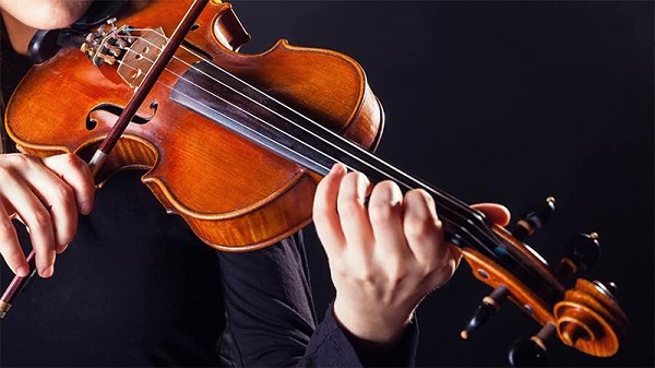 10 Câu Hỏi Giải Đáp Việc Nên Mua Đàn Violin Loại Nào Tốt Nhất 3 nếu chơi chuyên nghiệp thì nên mua đàn violin loại nào