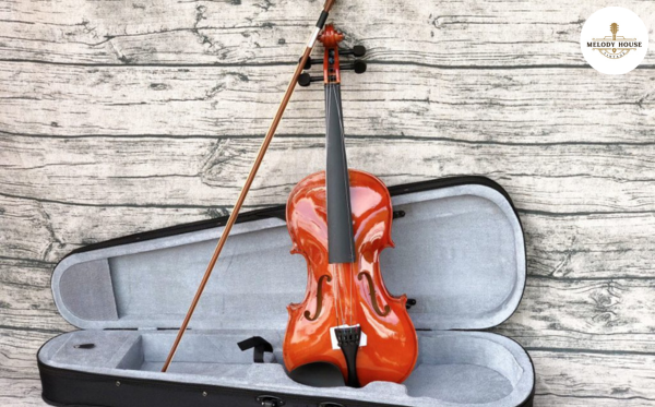 10 Câu Hỏi Giải Đáp Việc Nên Mua Đàn Violin Loại Nào Tốt Nhất 6 người đã chơi một thời gian nên nâng cấp lên loại đàn violin nào
