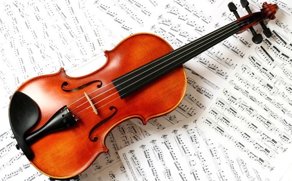 10 Câu Hỏi Giải Đáp Việc Nên Mua Đàn Violin Loại Nào Tốt Nhất 2 người mới học nên mua đàn violin loại nào