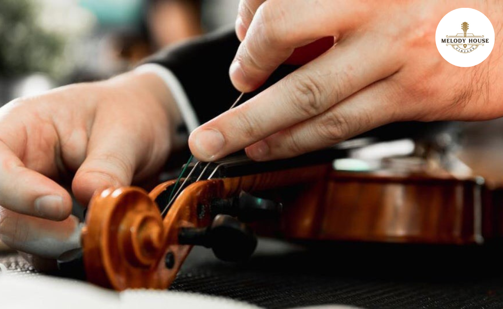 Đàn Violin Giá Bao Nhiêu? 4 Yếu Tố Ảnh Hưởng Đến Mức Giá Bạn Cần Biết 3 phụ kiện đi kèm và dịch vụ hậu mãi