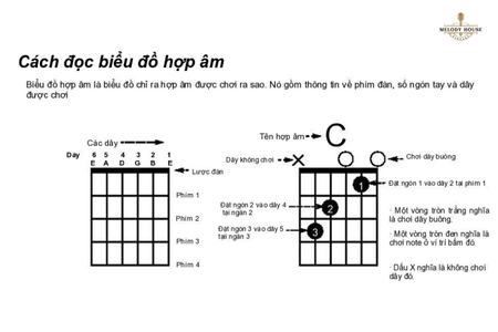 Tất Cả Hợp Âm Đàn Guitar: Hướng Dẫn Chi Tiết Cho Người Mới Bắt Đầu 3 tất cả hợp âm đàn guitar