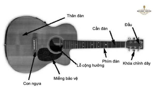 Hướng Dẫn Chi Tiết Cách Tự Học Đàn Guitar Tại Nhà Hiệu Quả 3 tự học đàn guitra tại nhà