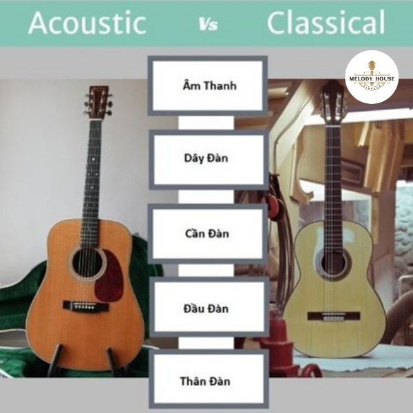 Sự Khác Nhau Giữa Đàn Acoustic Và Classic - Tư Vấn Chọn Đàn Cho Người Mới 5 Sự khác nhau giữa đàn acoustic và classic