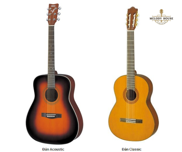Sự Khác Nhau Giữa Đàn Acoustic Và Classic - Tư Vấn Chọn Đàn Cho Người Mới 2 Sự khác nhau giữa đàn acoustic và classic