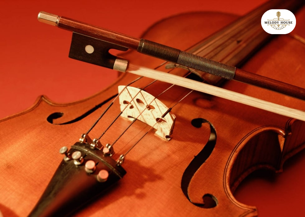 dây đàn violin làm bằng gì