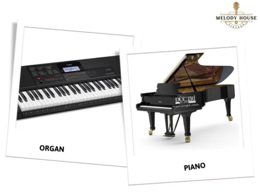 Học đàn Organ có dễ không? Giải đáp từ A-Z cho người mới bắt đầu 4 So sánh học đàn organ với các nhạc cụ khác